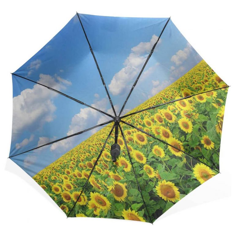 Custom Promotional Umbrellas No Minimum Order Towum