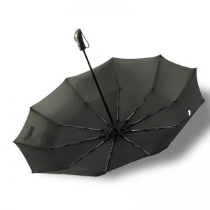 foldable umbrella