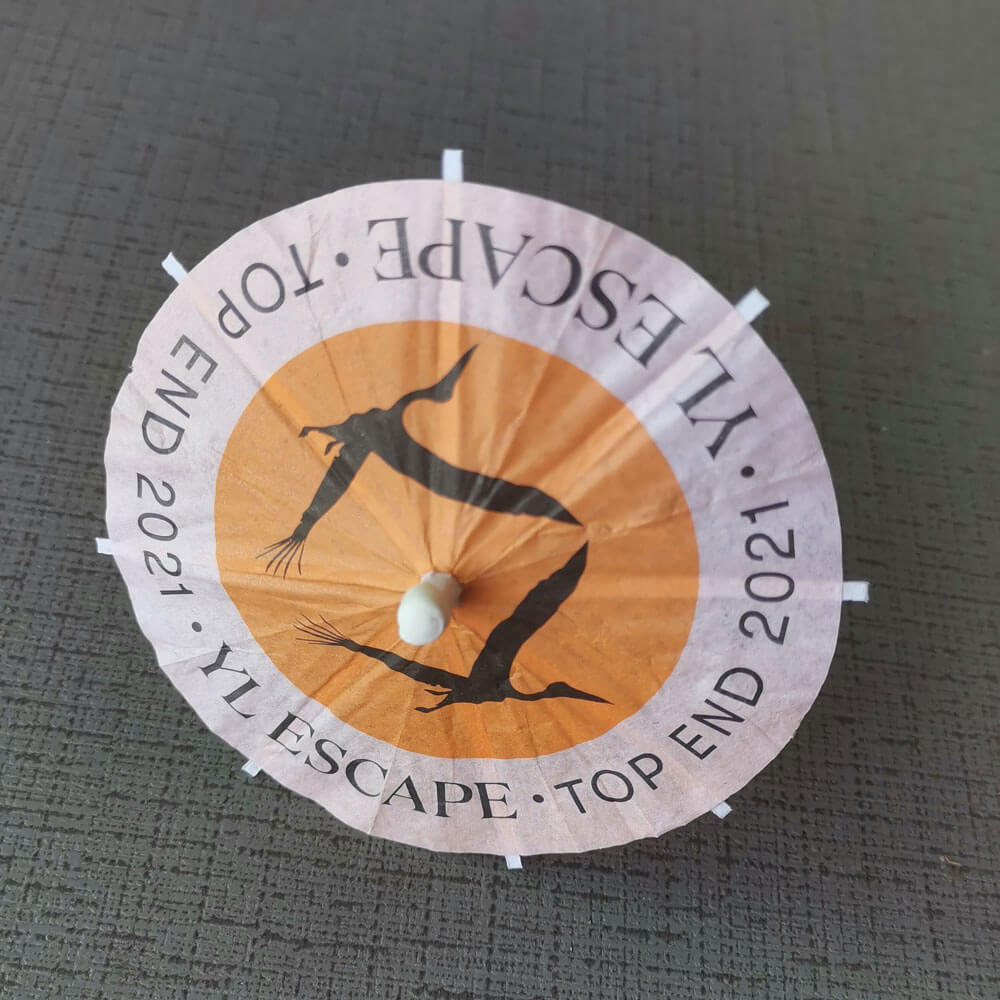 Custom Drink Umbrellas with Logo Printing