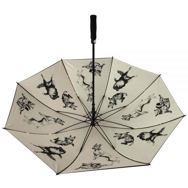 nestandartinio dizaino skėtis