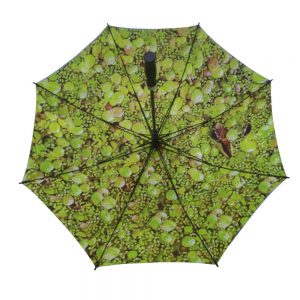 parapluie personnalisé photo
