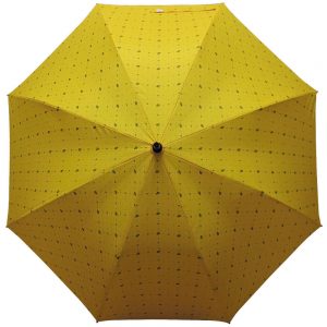 Custom Arrow Umbrella